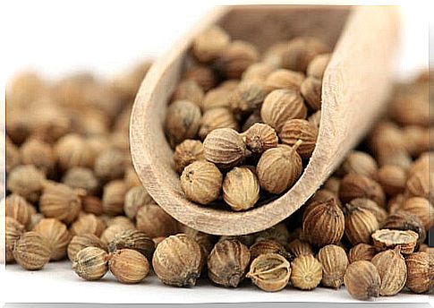 Coriander seeds