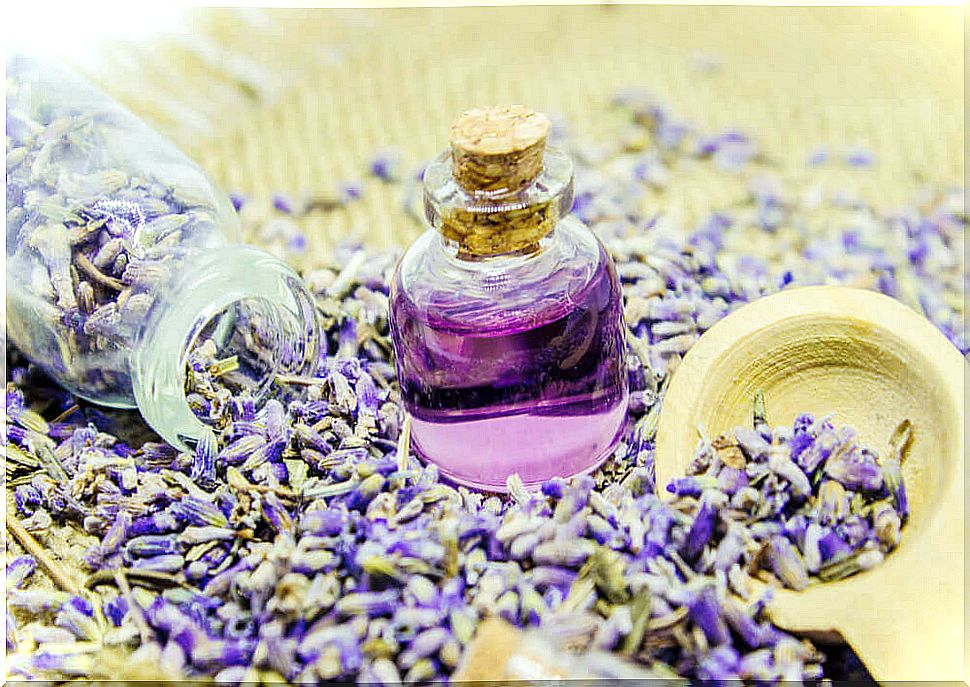 Lavender oil has multiple uses.