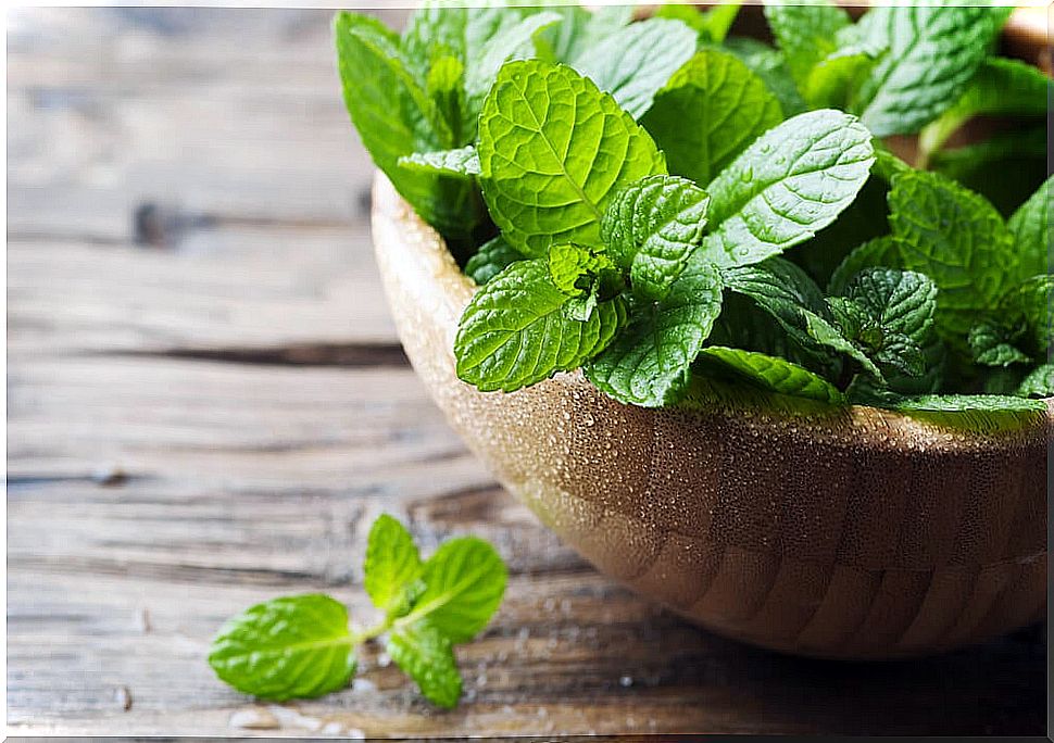 4 delicious recipes with mint