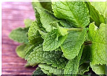 5 benefits of consuming peppermint