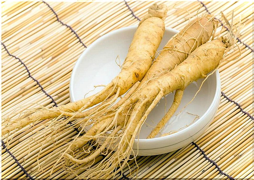 Ginseng