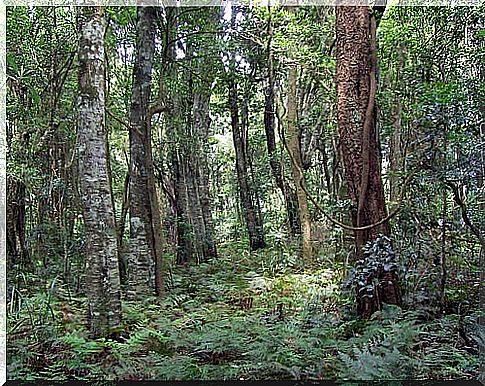 Robertson Nature Reserve