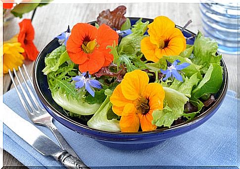 Salads with flowers, sprouts and seeds