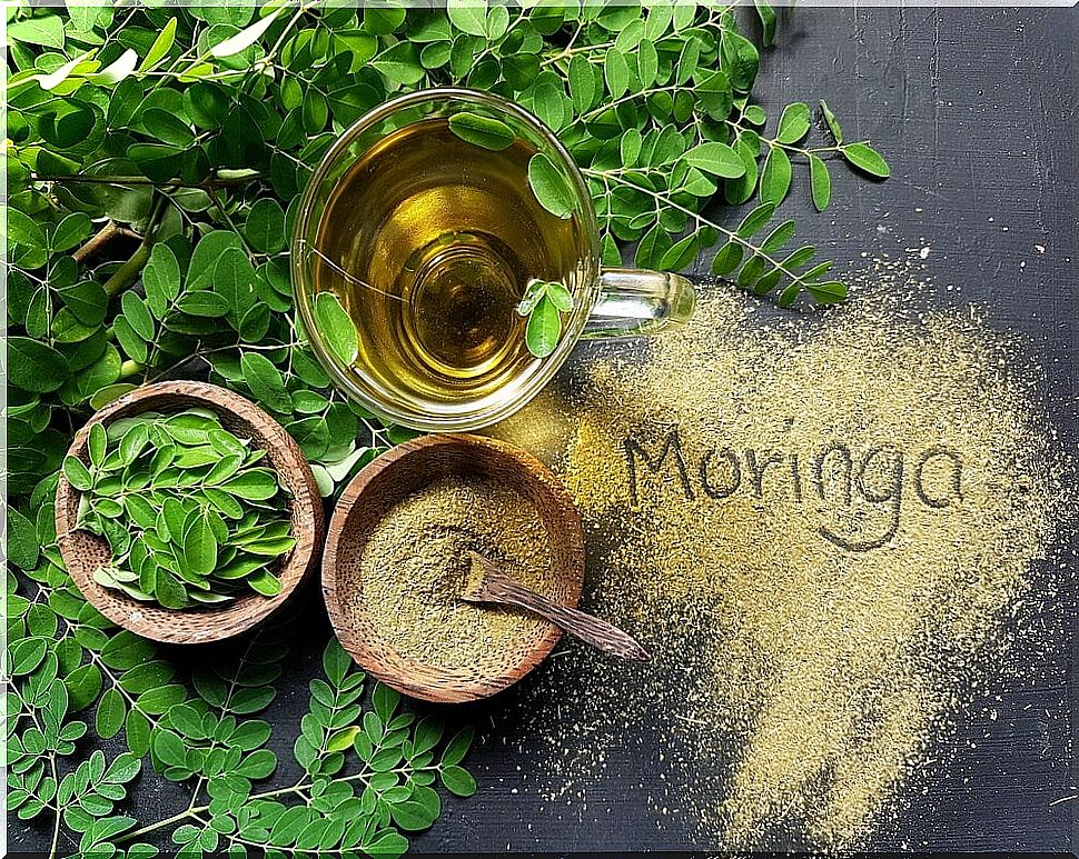 Moringa