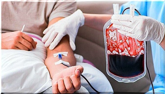 Artificial blood for transfusions, what does it consist of?