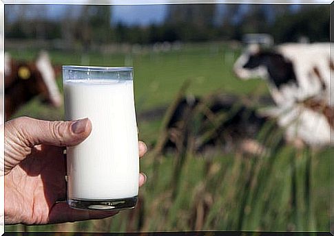 cow's milk, bovine spongiform encephalopathy