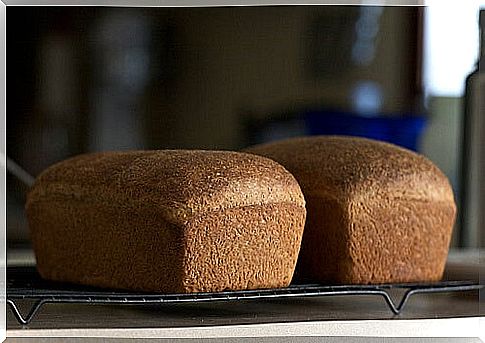 chiot's run whole wheat bread