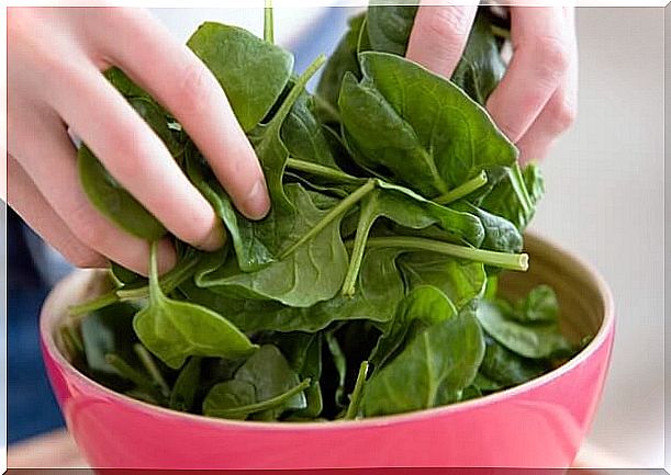 Bowl of spinach rich in folic acid.