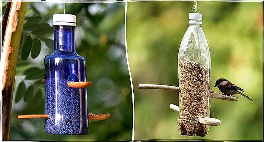 From a plastic bottle we can create a bird feeder.