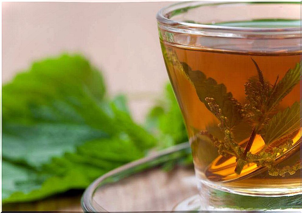 Nettle infusion for prostate problems