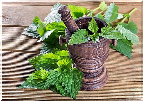 Nettle benefits