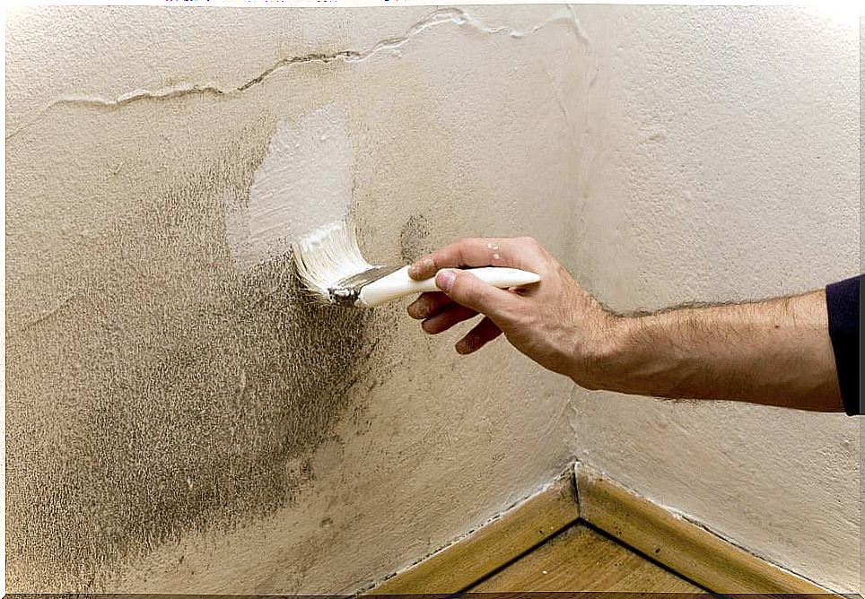 Remove moisture from the wall.