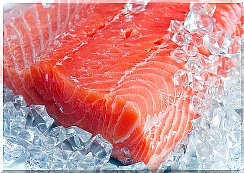 Slice of fresh salmon