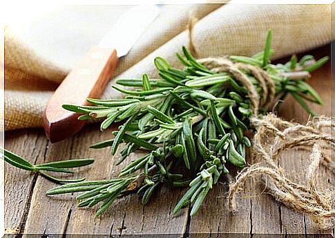 Rosemary infusion