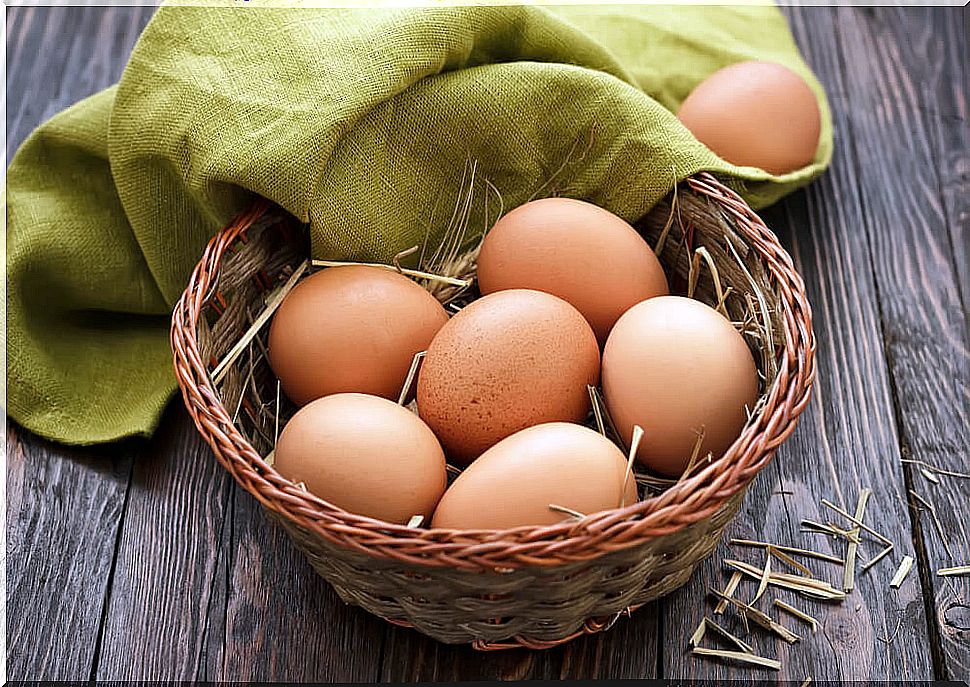 What damage can bad eggs cause to the human body?