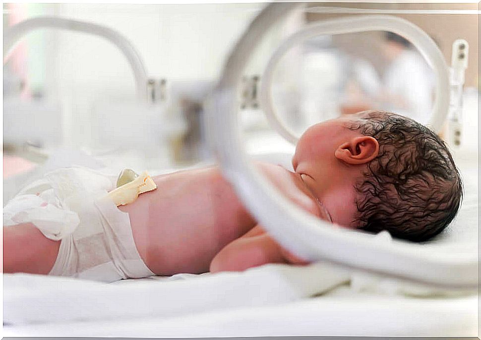 What are the causes of prematurity?