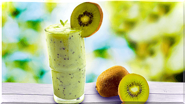 melon and kiwi smoothie