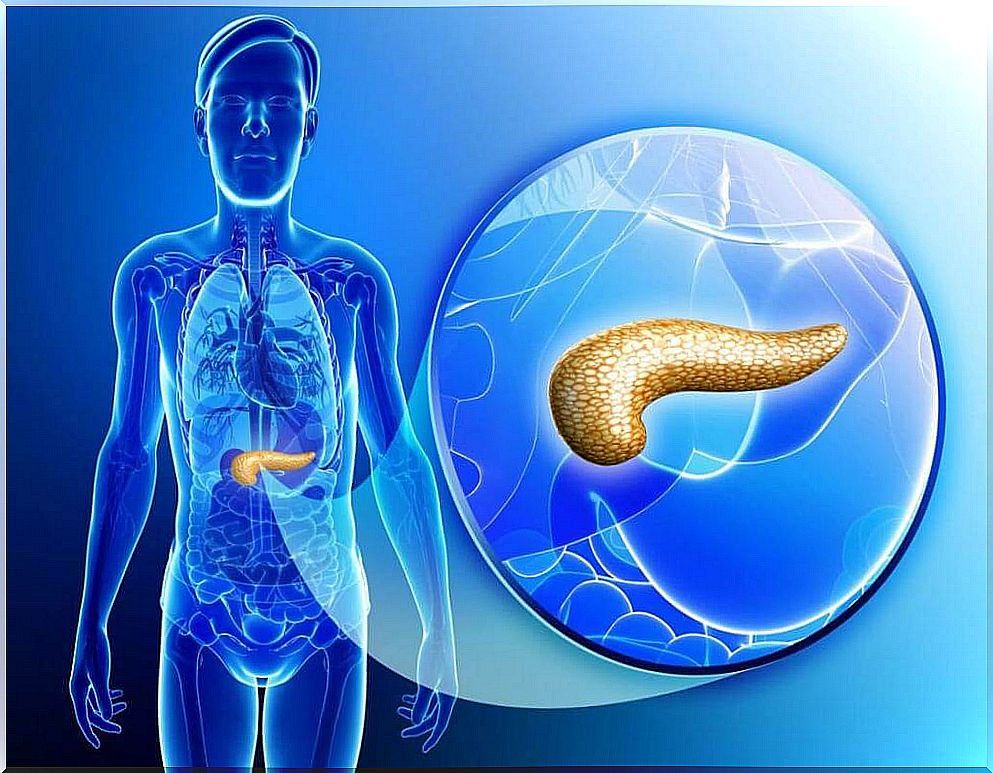 What is it for and how to care for the pancreas